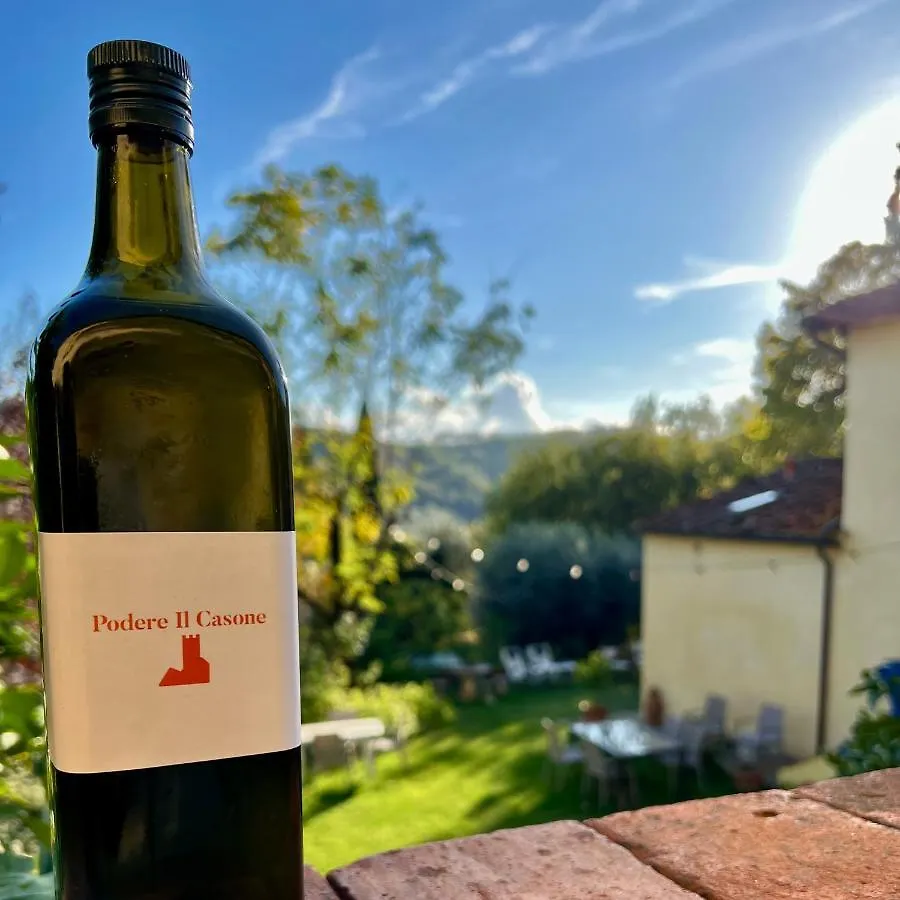 Podere il Casone Serravalle Pistoiese 0*,